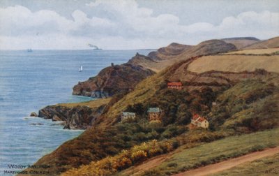 Woody Bay, da Martinhoe Common da Alfred Robert Quinton